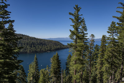 WHF_0943.jpg