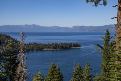 WHF_0947.jpg
