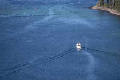 WHF_0950.jpg