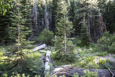 WHF_0976.jpg