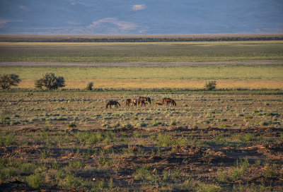 WHF_1017.jpg