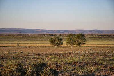 WHF_1018.jpg