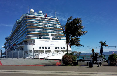 San Francisco Bay Views