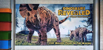 Dinasaurs Revealed