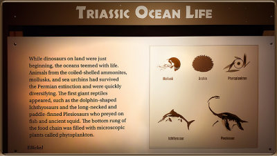 Triassic Ocean