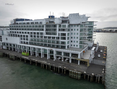 The Hilton Auckland