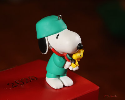 Dr Snoopy 2020