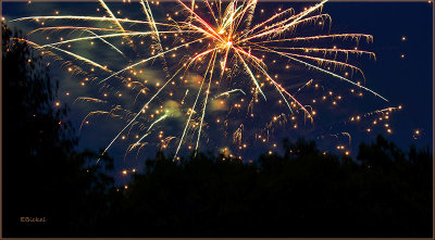 Fireworks Over the Backyard 7-04-21
