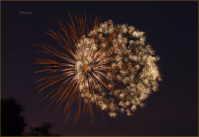 Fireworks Over the Backyard