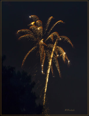 Fireworks Over the Backyard 