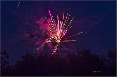 Fireworks Over the Backyard