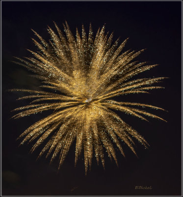 Fireworks Over the Backyard