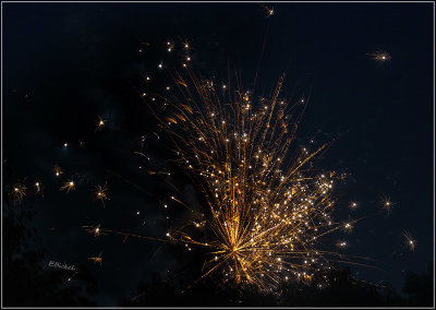 Fireworks Over the Backyard