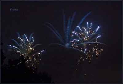 Fireworks Over the Backyard