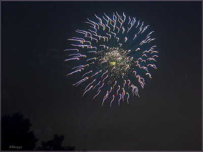 Fireworks Over the Backyard