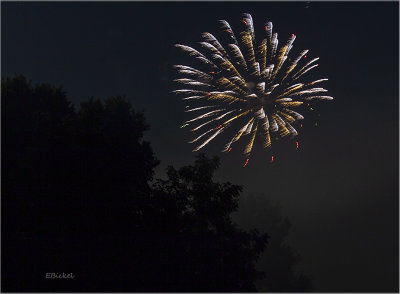 Fireworks Over the Backyard