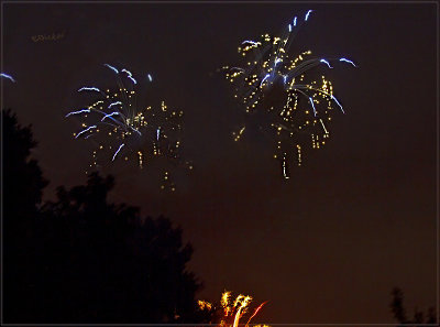 Fireworks Over the Backyard