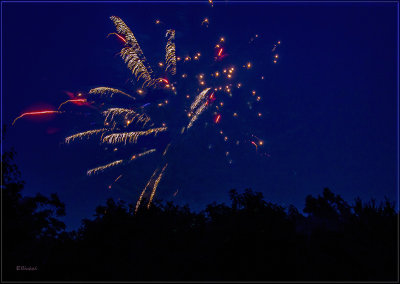 Fireworks Over the Backyard