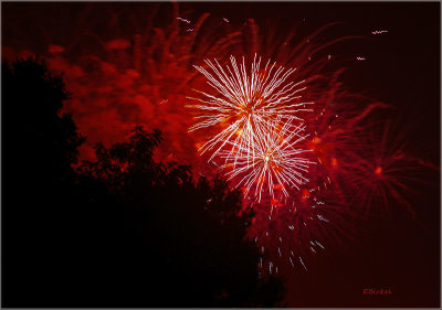 Fireworks Over the Backyard