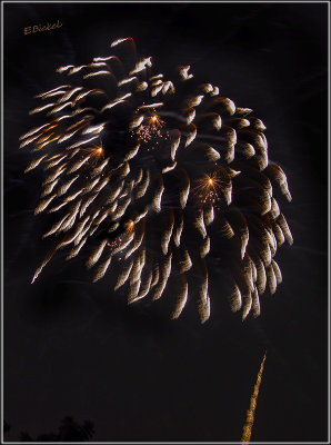 Fireworks Over the Backyard