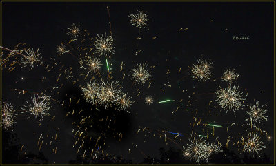 Fireworks Over the Backyard