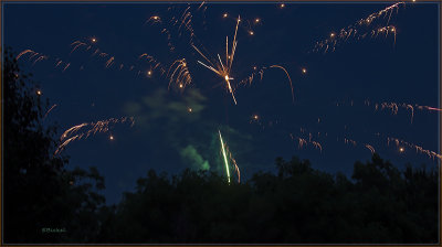 Fireworks Over the Backyard