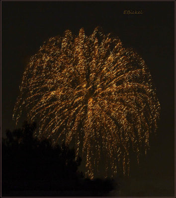 Fireworks Over the Backyard