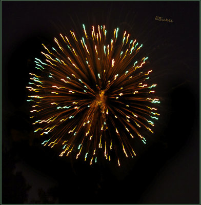 Fireworks Over the Backyard