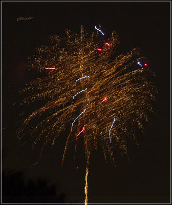 Fireworks Over the Backyard