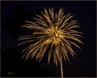 Fireworks Over the Backyard