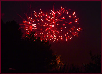 Fireworks Over the Backyard