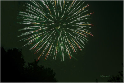 Fireworks Over the Backyard