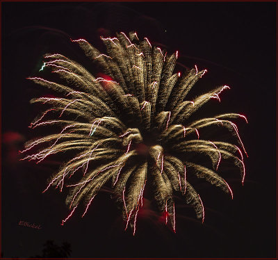 Fireworks Over the Backyard