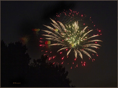 Fireworks Over the Backyard