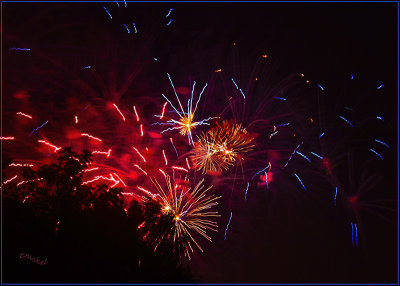 Fireworks Over the Backyard