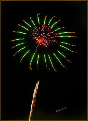 Fireworks Over the Backyard