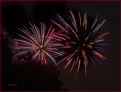 Fireworks Over the Backyard