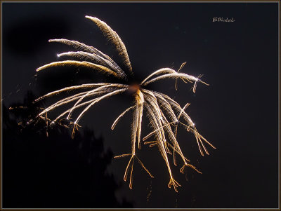 Fireiworks Over the Backyard