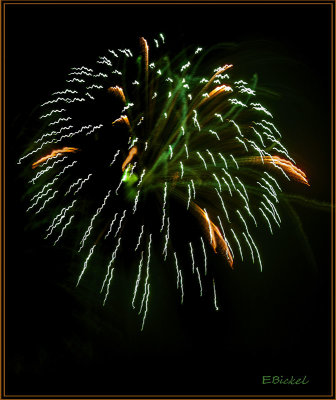 Fireworks Over the Backyard