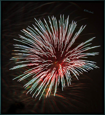 Fireworks Over the Backyard