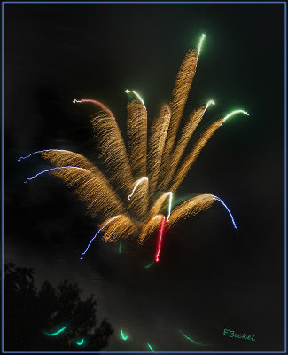 Fireworks Over the Backyard