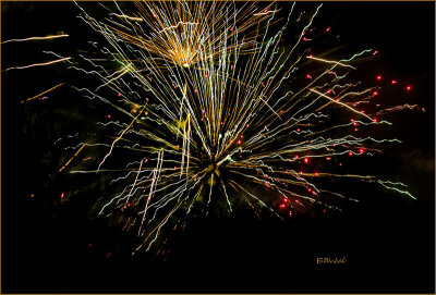 Fireworks Over the Backyard