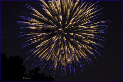 Fireworks Over the Backyard