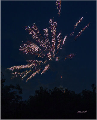 Fireworks Over the Backyard