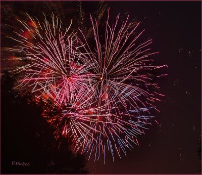 Fireworks Over the Backyard