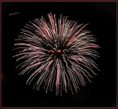 Fireworks Over the Backyard