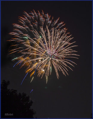 Fireworks Over the Backyard