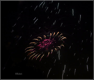 Fireworks Over the Backyard 