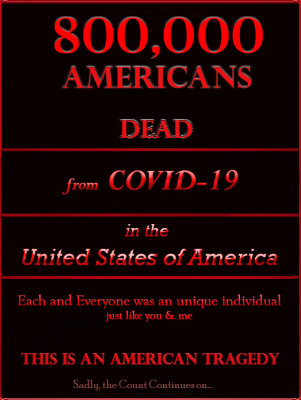 800,000 US COVID Deaths (12-14-21)