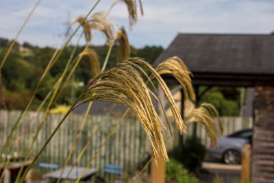 28_Dove_Cottage.jpg